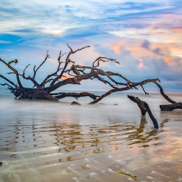 Georgia & Florida: Jekyll Island & St. Augustine 6