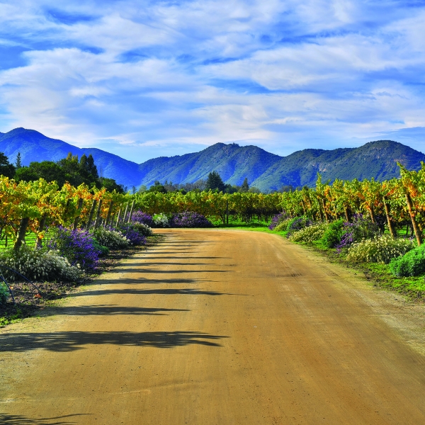 South America 2