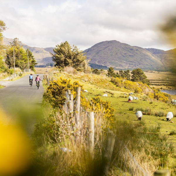 Ireland: Galway & Connemara Coast