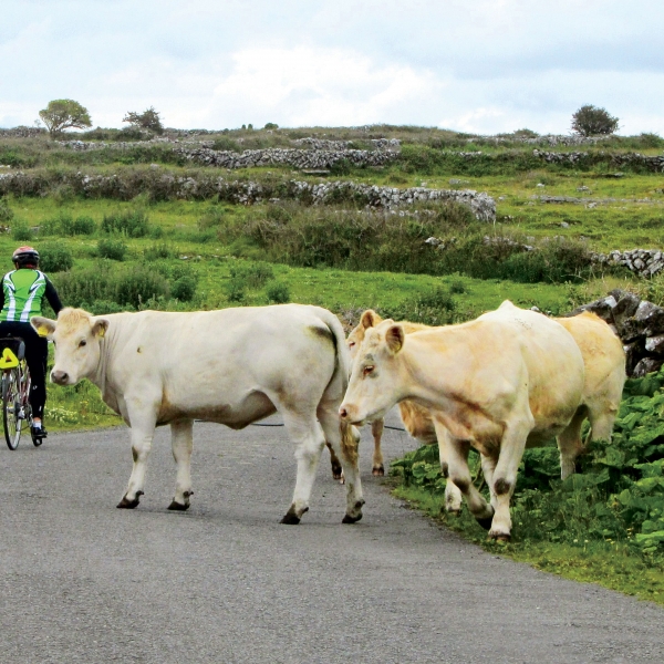 Ireland: Galway & Connemara Coast 9