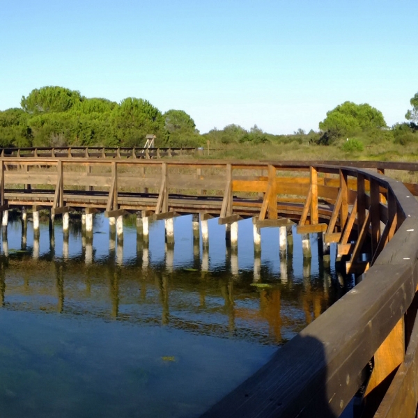 Italy Bike & Boat: Venice to Mantua 28