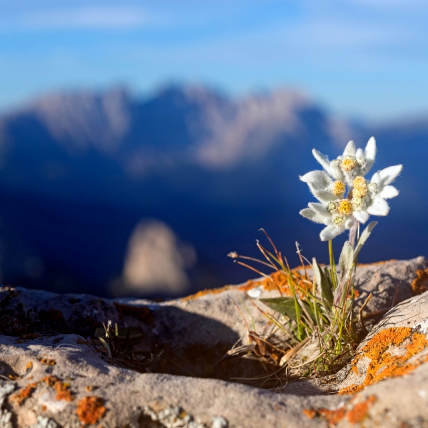 Italy: The Dolomites, Bolzano to Lake Garda 6