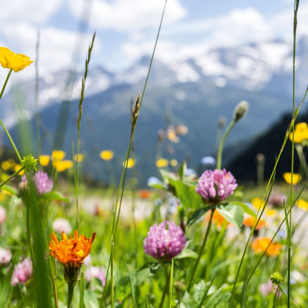 Italy: The Dolomites, Bolzano to Lake Garda 8