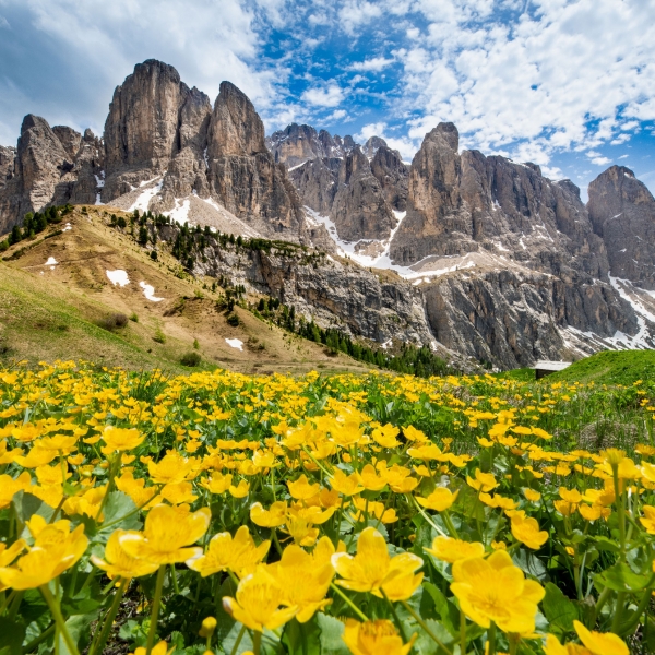 Italy: Valleys of the Dolomites 14