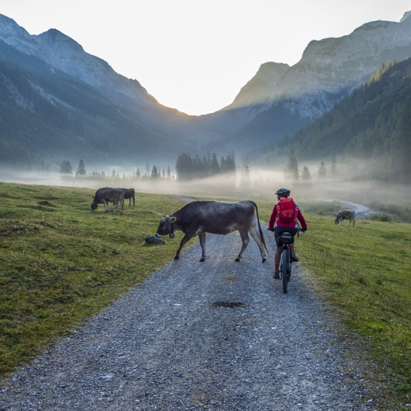 Italy: Valleys of the Dolomites 1