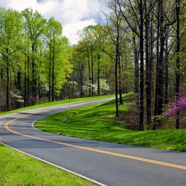 Mississippi: The Natchez Trace 6