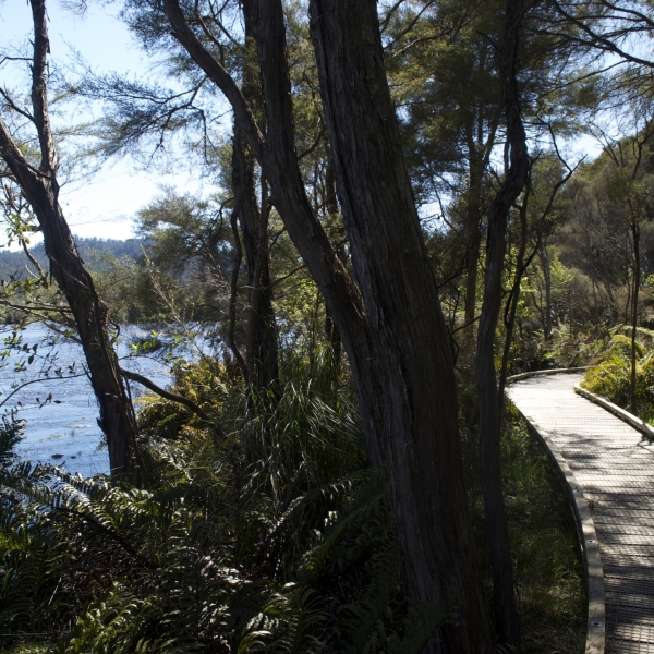 New Zealand: The South Island 3