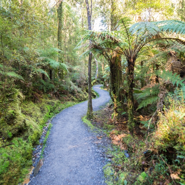 New Zealand: The South Island 4