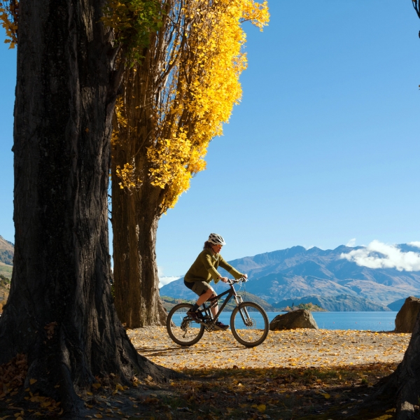 New Zealand: The South Island 5