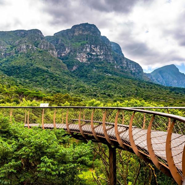 South Africa: Cape Town & the Garden Route 7
