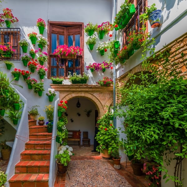 Spain: Andalusia, Córdoba & Granada 12