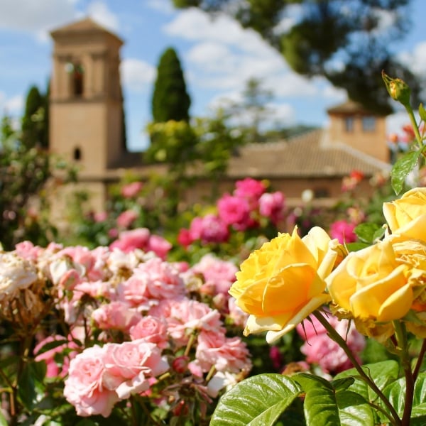 Spain: Andalusia, Córdoba & Granada 15