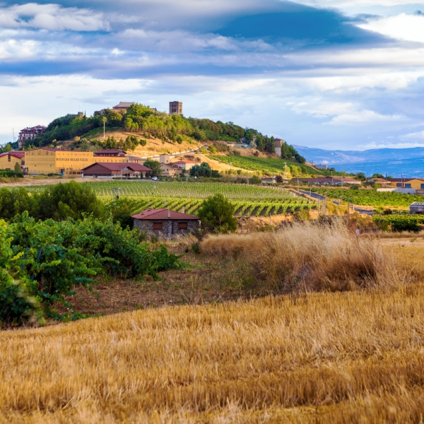 Spain: Basque, Navarre & Rioja Wine Regions 14