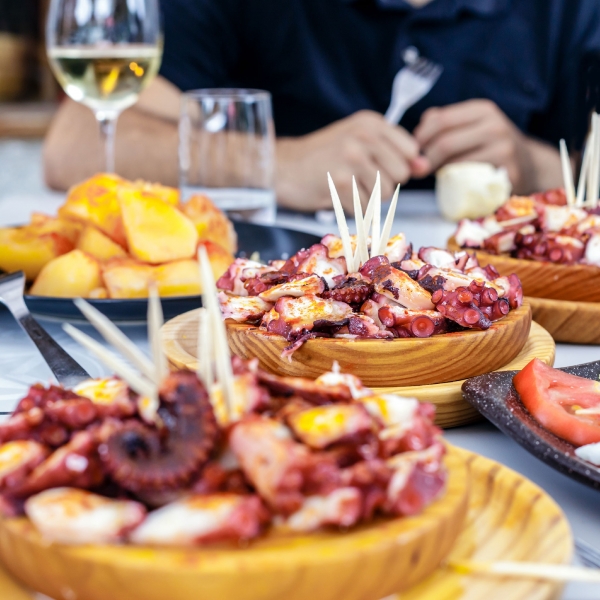 Spain: Basque, Navarre & Rioja Wine Regions 15
