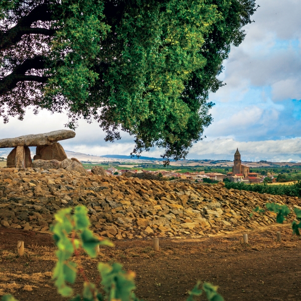 Spain: Basque, Navarre & Rioja Wine Regions 13
