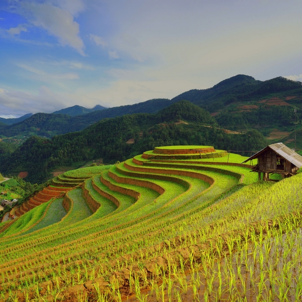Vietnam: Hanoi, Hue, Hoi An & Saigon 1
