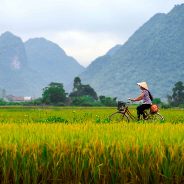 Vietnam: Hanoi, Hue, Hoi An & Saigon