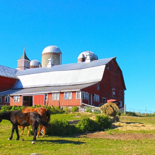 Classic Vermont