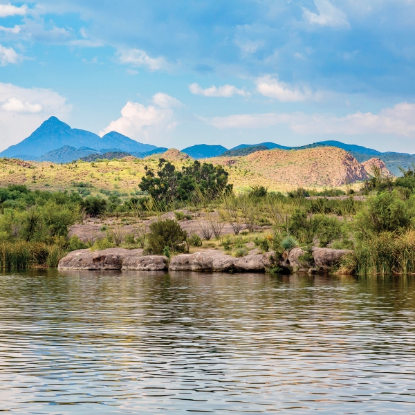 Arizona: Saguaro National Park & the Sonoran Desert 2