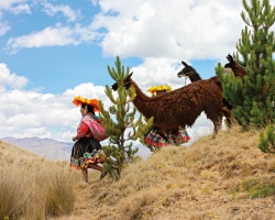 South America 7