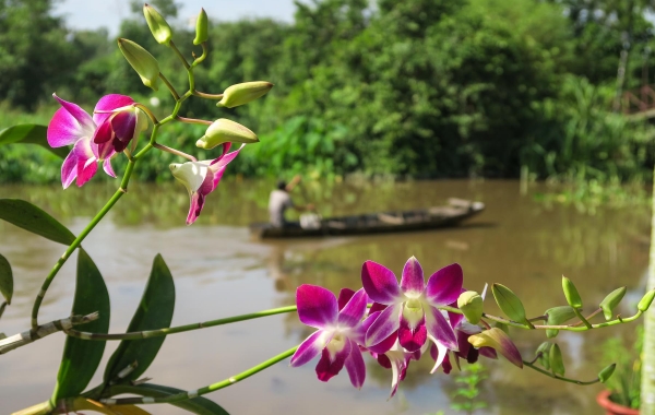 Vietnam