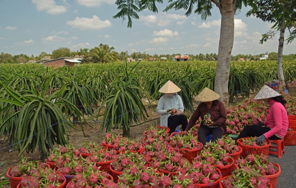 Vietnam