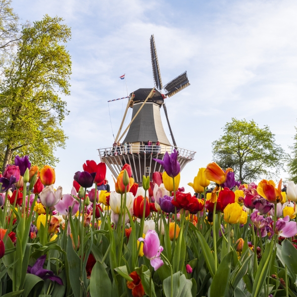 The Netherlands Bike & Boat: Springtime in Holland, Aboard the Magnifique III