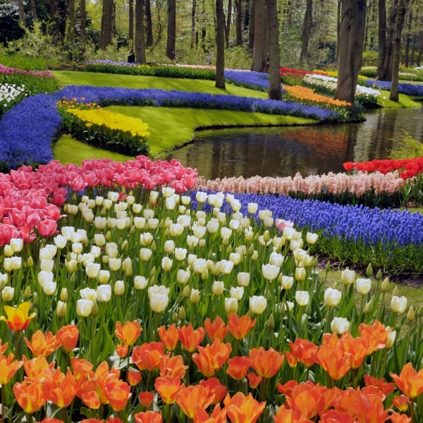 The Netherlands Bike & Boat: Springtime in Holland, Aboard the Princesse Royal 11