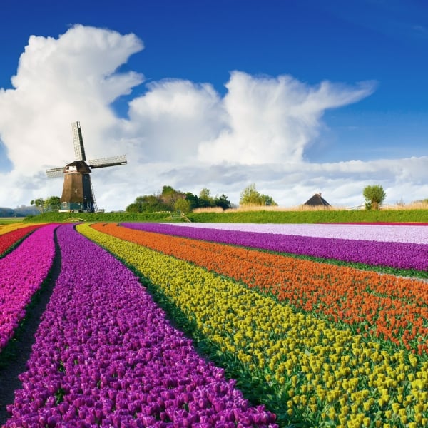 The Netherlands Bike & Boat: Springtime in Holland, Aboard the Princesse Royal 12