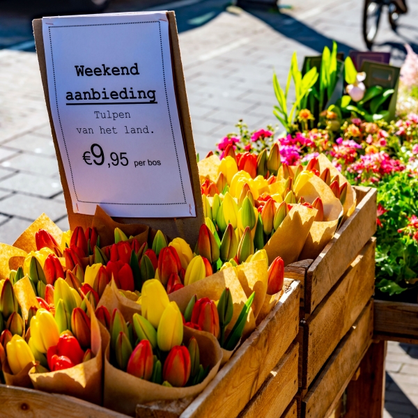 The Netherlands Bike & Boat: Springtime in Holland, Aboard the Princesse Royal 13