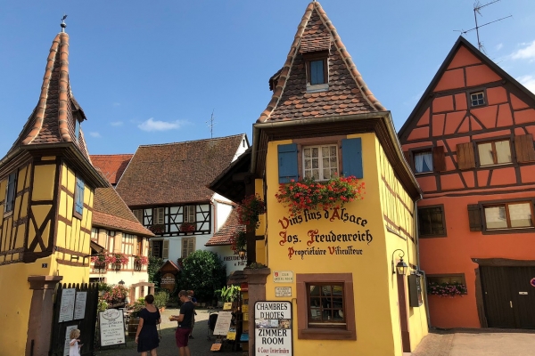 Alsace & the Black Forest: La Route Des Vins