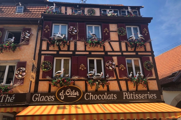 Alsace & the Black Forest: La Route Des Vins