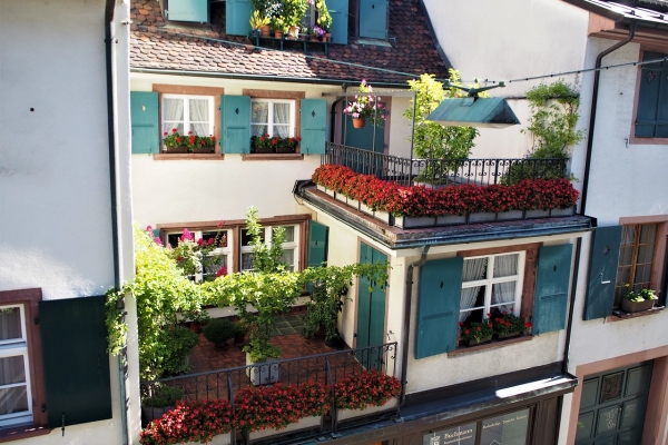 Alsace & the Black Forest: La Route Des Vins