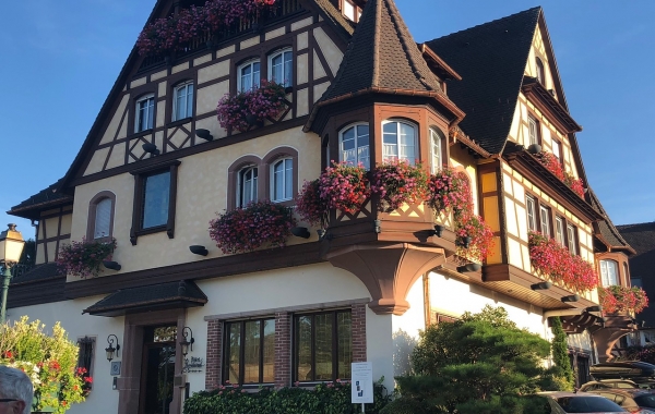 Alsace & the Black Forest: La Route Des Vins