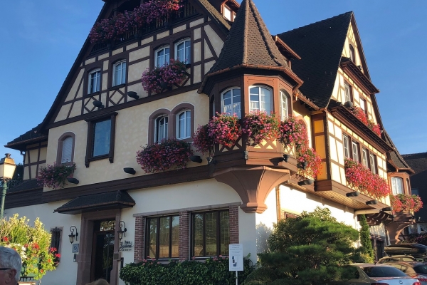 Alsace & the Black Forest: La Route Des Vins