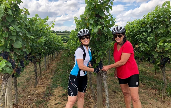 Alsace & the Black Forest: La Route Des Vins
