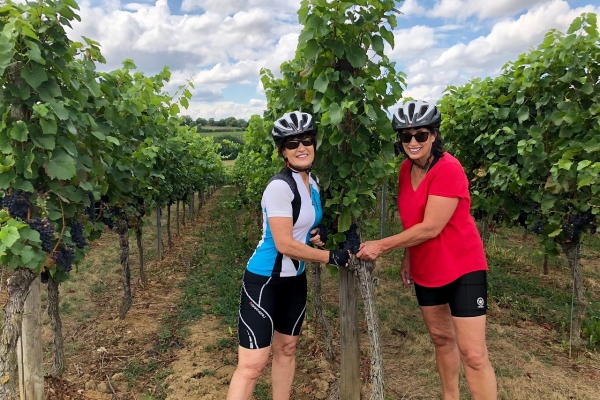 Alsace & the Black Forest: La Route Des Vins