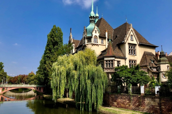Alsace & the Black Forest: La Route Des Vins