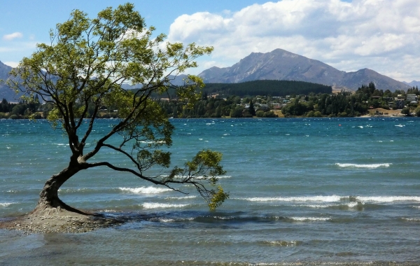 The South Island