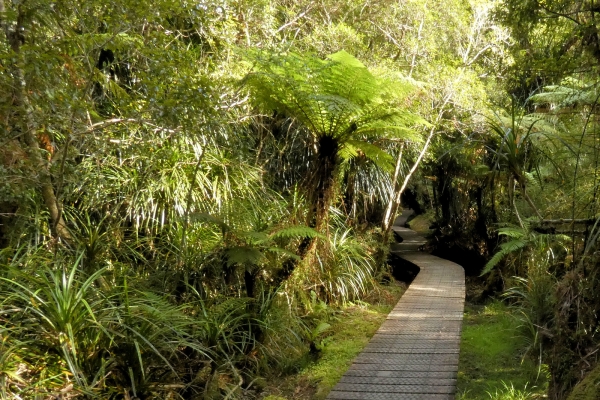 New Zealand: The South Island