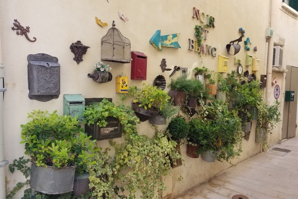 Provence: The Alpilles