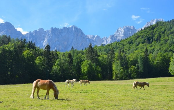 Slovenia, Austria & Italy