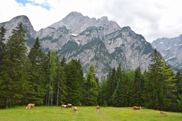 Slovenia, Austria & Italy