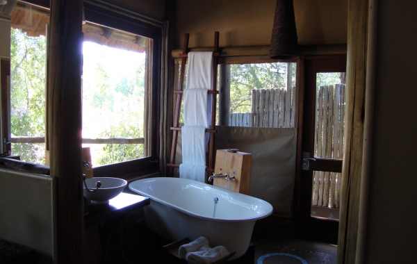 South Africa: Cape Town & the Garden Route