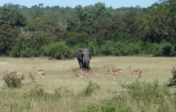 South Africa: Cape Town & the Garden Route