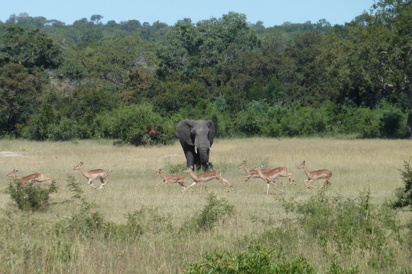 South Africa: Cape Town & the Garden Route
