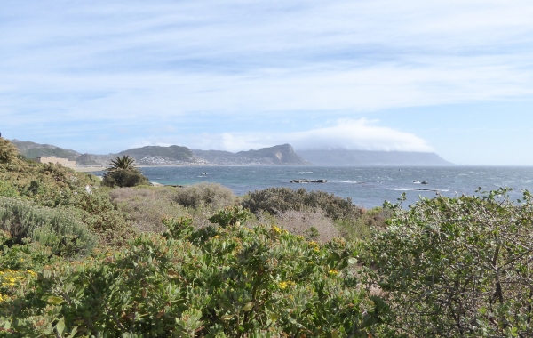 South Africa: Cape Town & the Garden Route