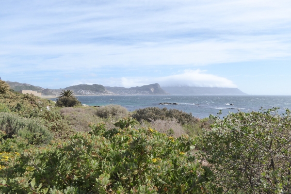 South Africa: Cape Town & the Garden Route