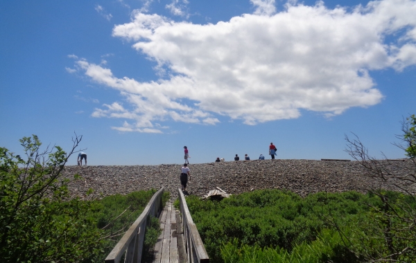 Maine Coast: Purely Acadia