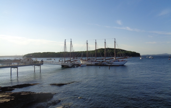 Maine Coast: Purely Acadia